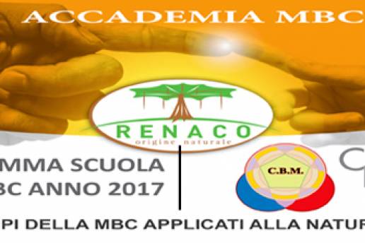 Programma scuola MBC anno 2017 sede Torino